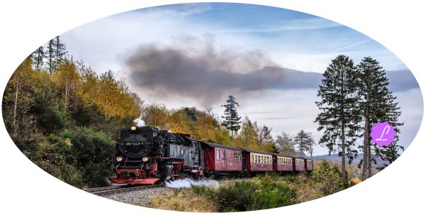 El Tren de la Vida www.jamaraturana.com