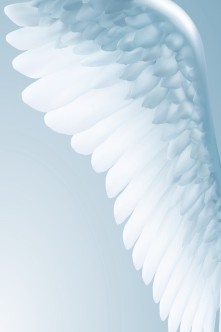 Dorso de la carta angelical