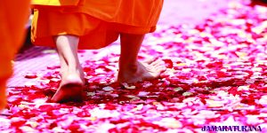 la-verdadera-espiritualidad-www.jamaraturana.com