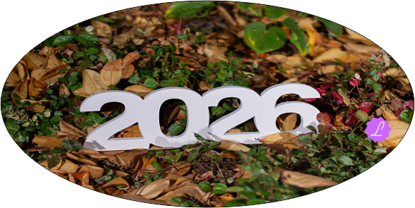 numerología 2026 Luz Astrid Amaya López